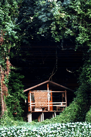 Cabaas En Nanciyaga