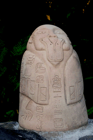Reserva Ecologica De Nanciyaga Cabaas Catemaco Veracruz
