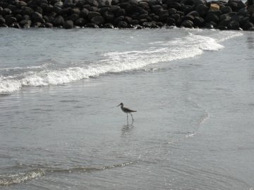 Playas De Veracruz