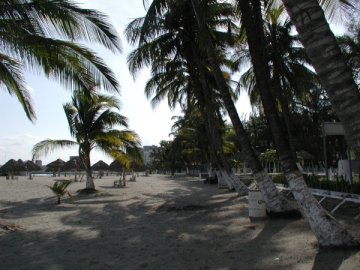 Playas En El Estado de Veracruz Hoteles Alojamiento
